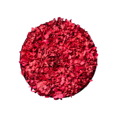 Blütenbild | rund