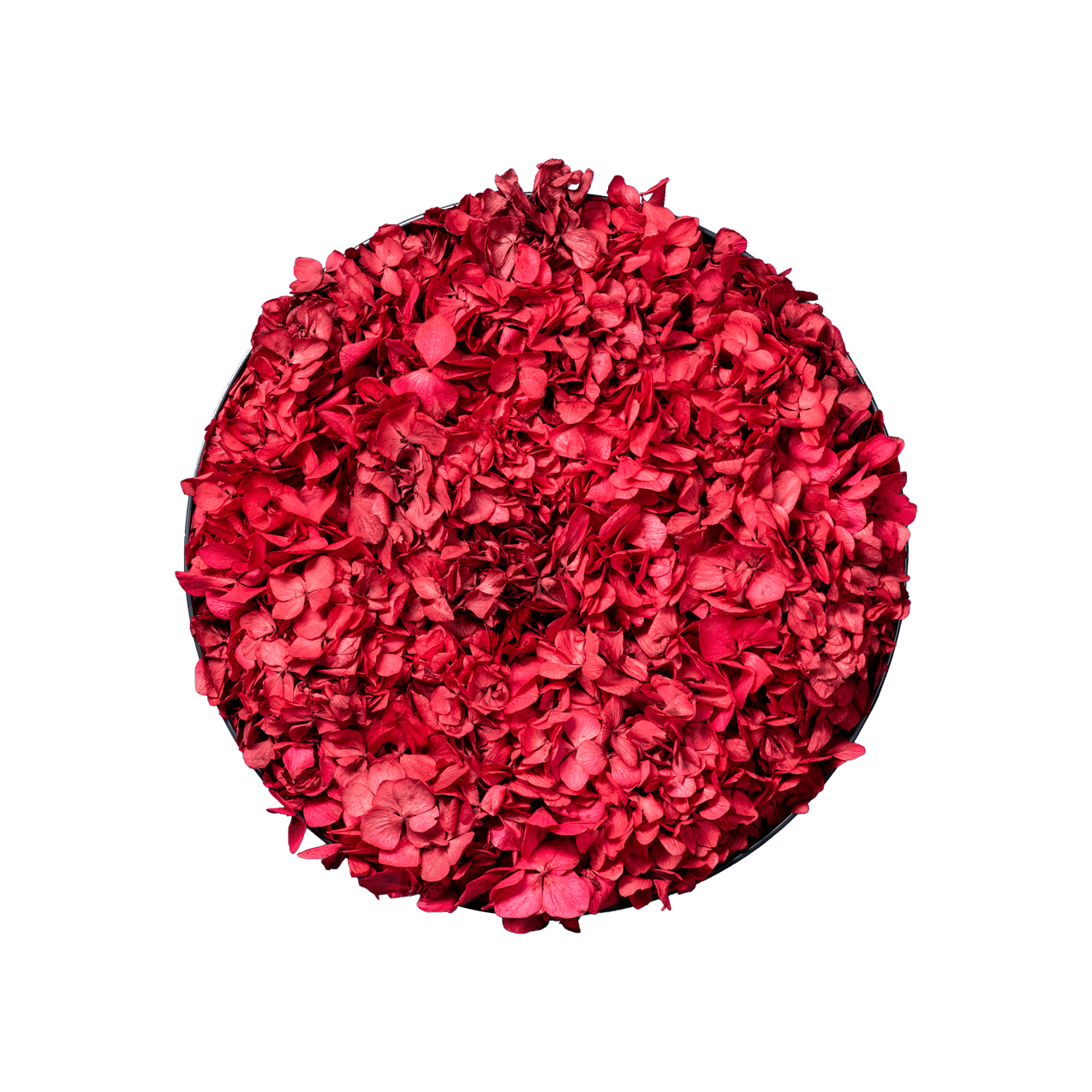 Blütenbild | rund
