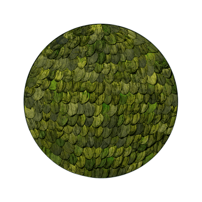 Blätterbild | rund, grün
