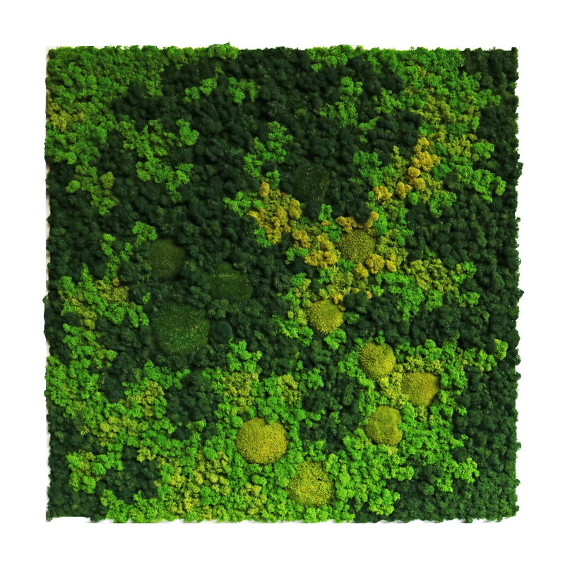 Evergreen Nebula eckig