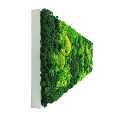 Evergreen Nebula eckig