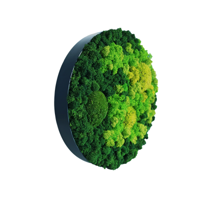 Evergreen Nebula rund
