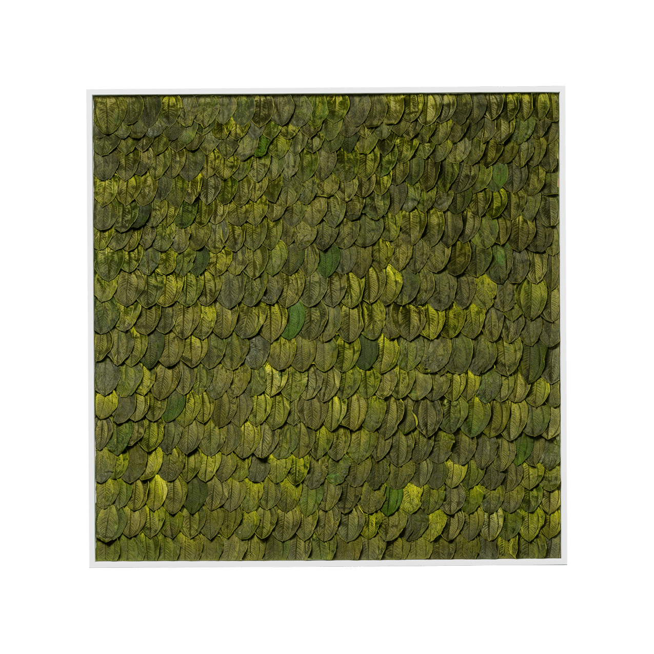 Blätterbild | eckig, grün