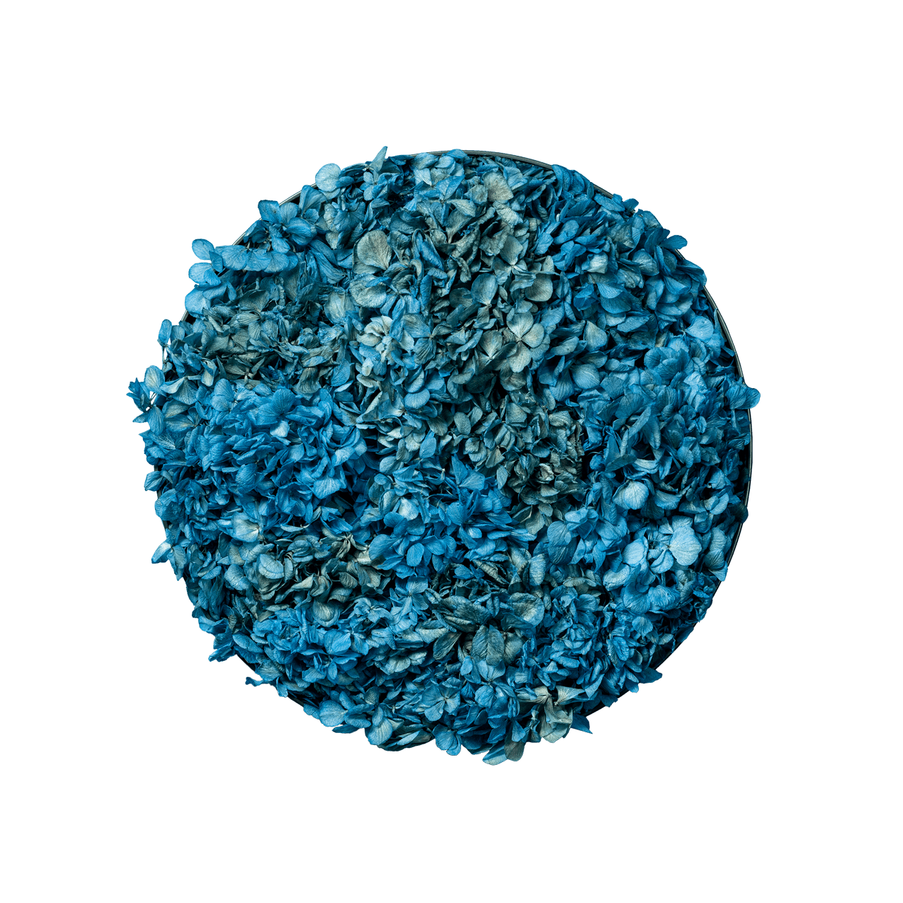 Blütenbild | rund, blau