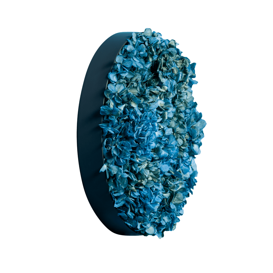 Blütenbild | rund, blau