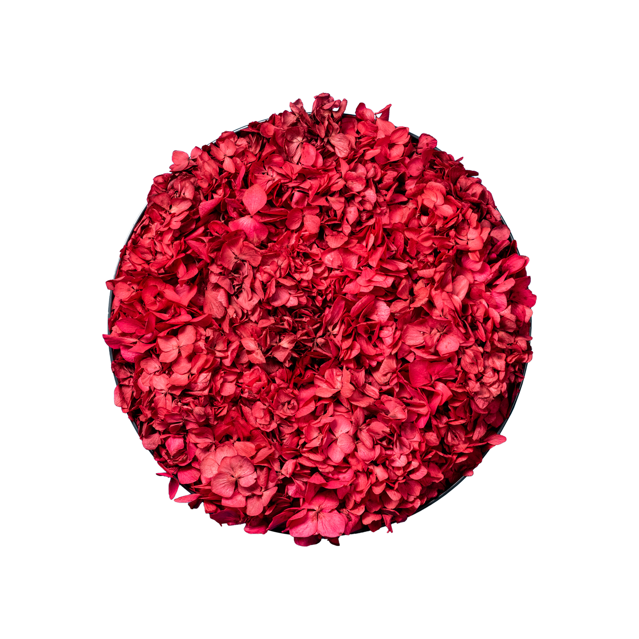 Blütenbild | rund, rot