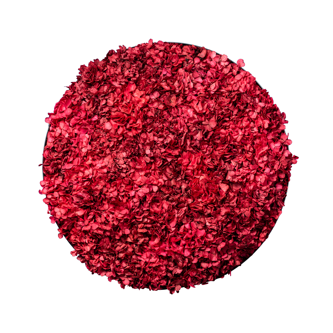 Blütenbild | rund, rot