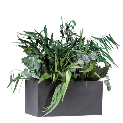 Pflanzendekoration | "Jungle in a box"