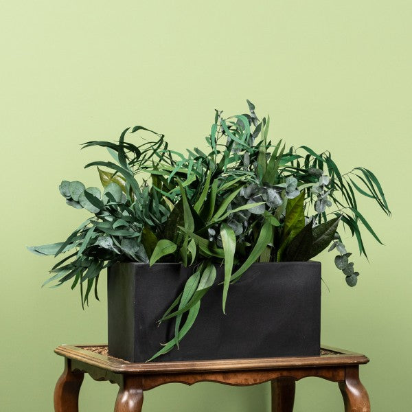Pflanzendekoration | "Jungle in a box"