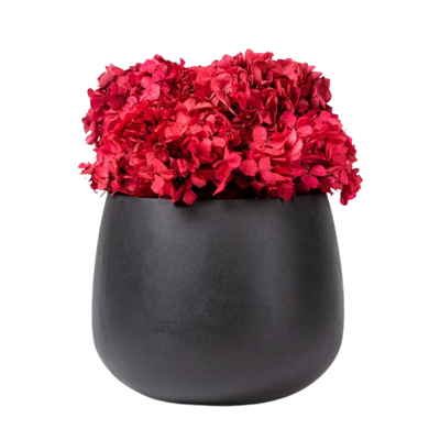 Pflanzendekoration | "Flower bowl"